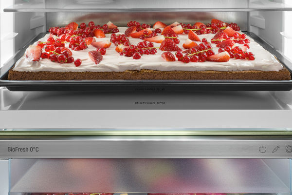 Chłodziarko-zamrażarka do zabudowy Liebherr ICBSd 5122 Plus BioFresh